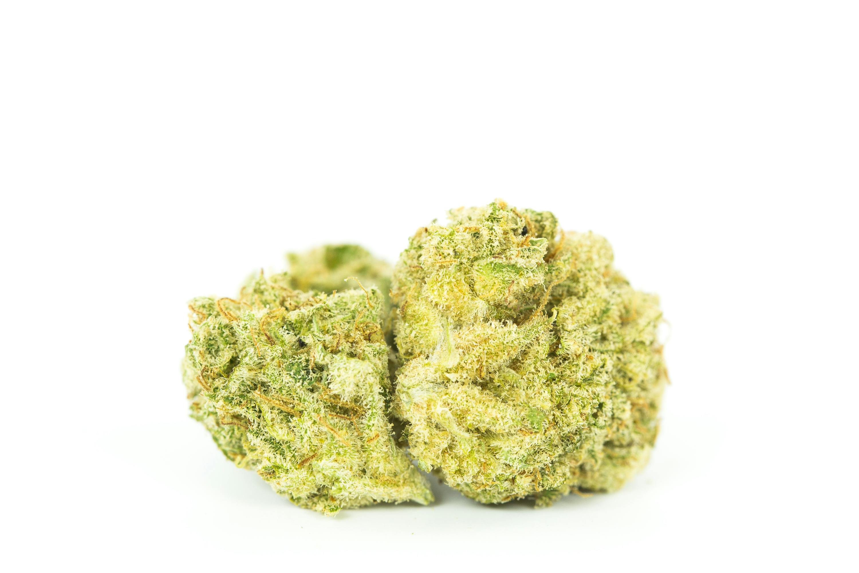 Lemon Diesel Weed; Lemon Diesel Cannabis Strain; Lemon Diesel Hybrid Marijuana Strain