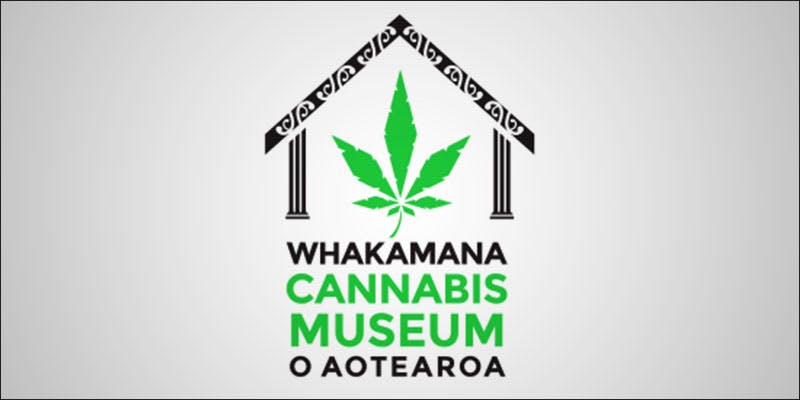 New Zealand Cannabis 4 New Zealands Only Cannabis Museum Informs & Empowers