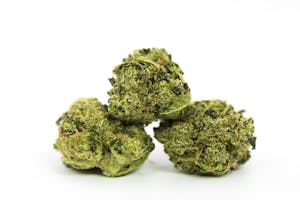 SAGE Marijuana Strain