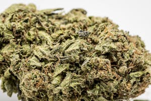 Princess Leia Marijuana Strain