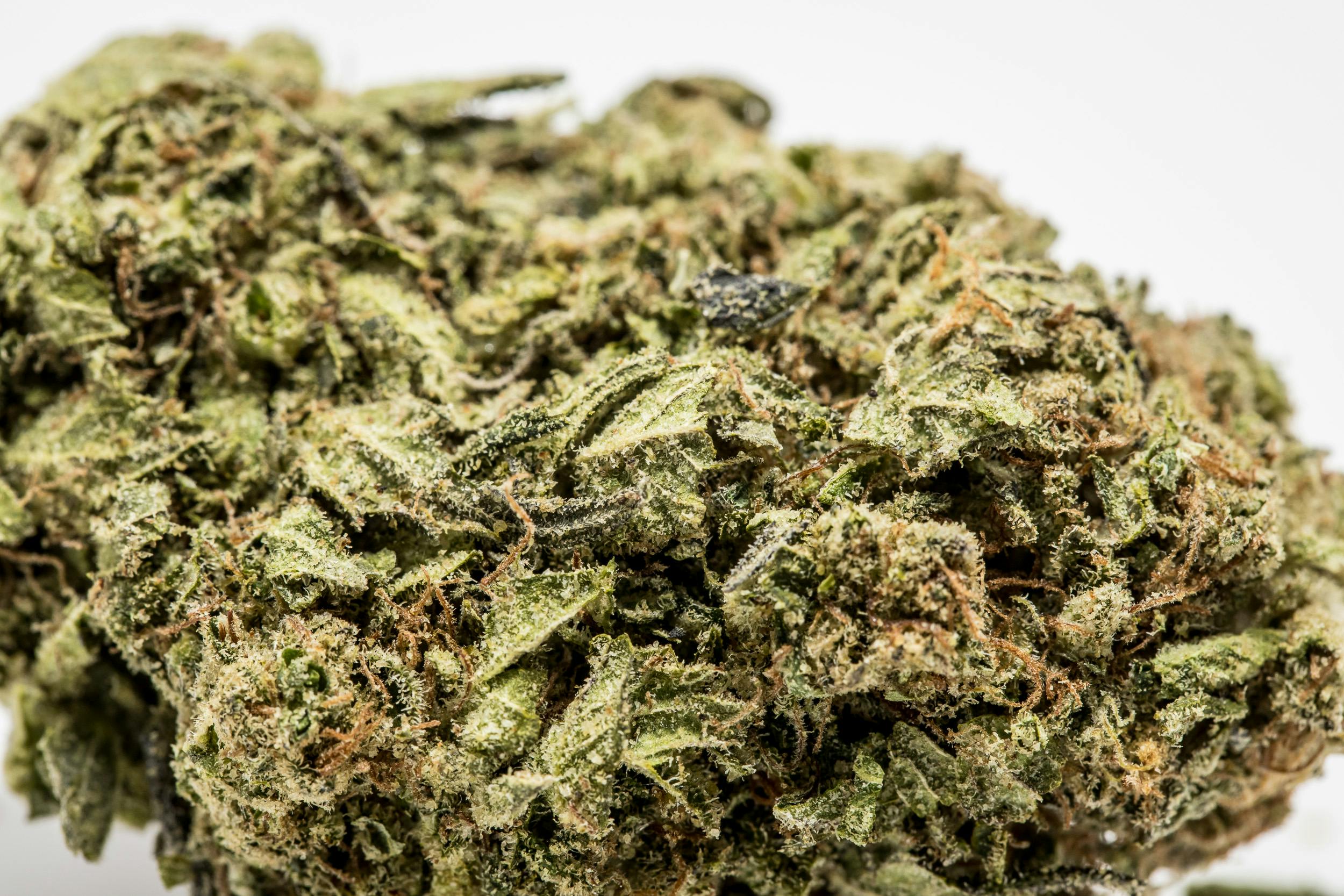 Princess Leia Weed; Princess Leia Cannabis Strain; Princess Leia Hybrid Marijuana Strain