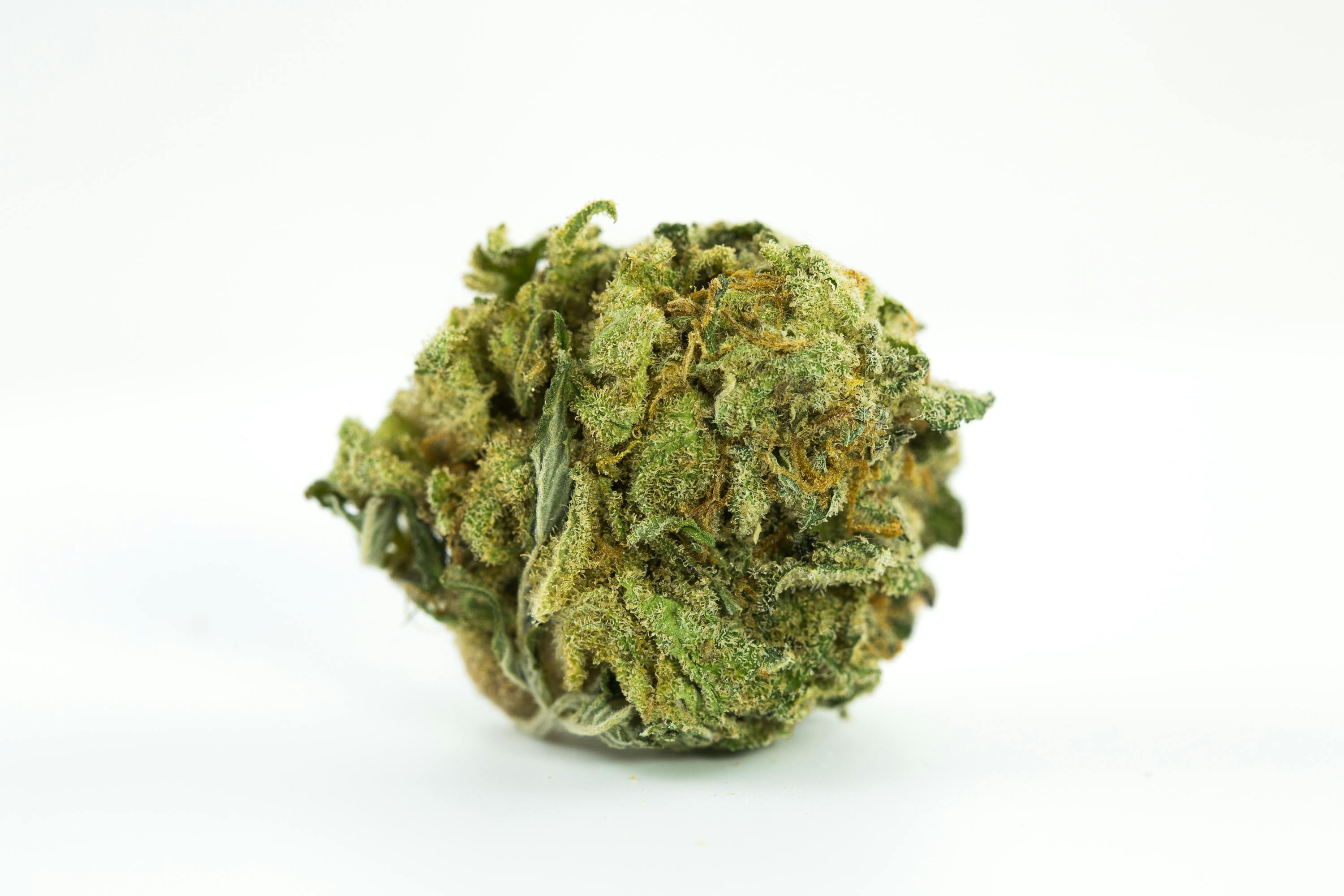 Shishkaberry Weed; Shishkaberry Cannabis Strain; Shishkaberry Indica Marijuana Strain