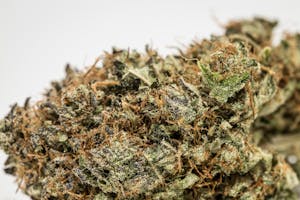 Mendo Breath Marijuana Strain