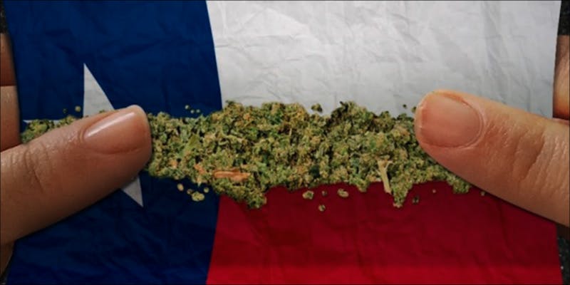 Texas Senator From 2 Why Doctors, Not Politicians, Should Determine Medical Cannabis Use
