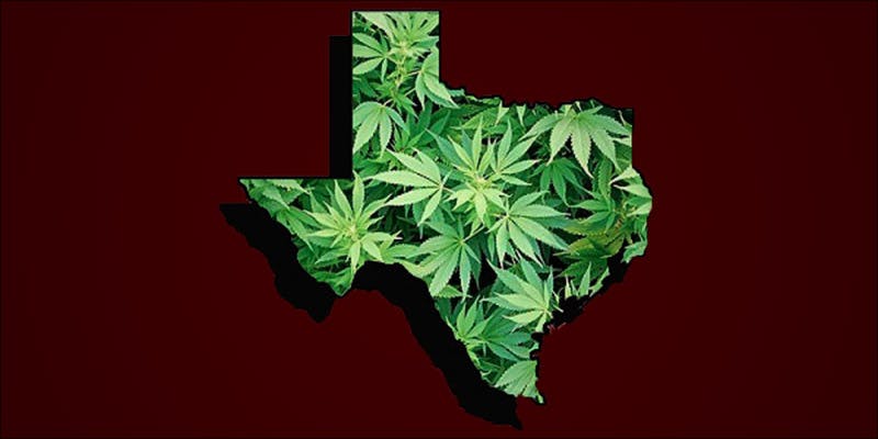Texas Senator From 3 Why Doctors, Not Politicians, Should Determine Medical Cannabis Use