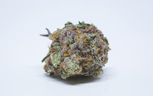 Purple OG Kush Marijuana Strain