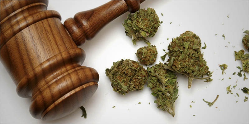 Why Is The 2 Why Is The Government Unlawfully Suppressing Medical Cannabis Access?