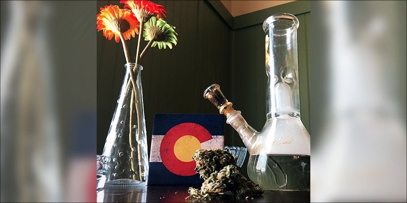 bud breakfast 3 3 Important Things Cannabis Nodes Are Telling You About Your Plant