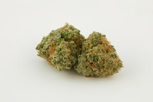 Critical Kush Marijuana Strain