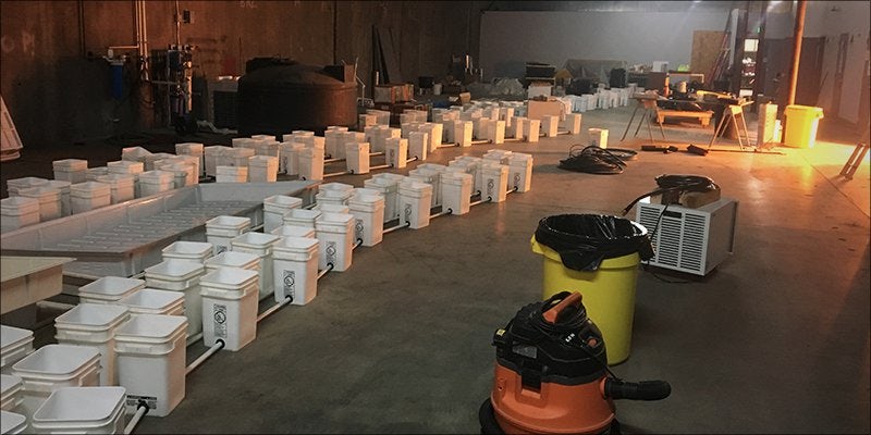 rec 2 Colorado: Recreational Weed Shops are Going to Edge Out Medical