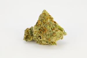 Dr. Who Marijuana Strain