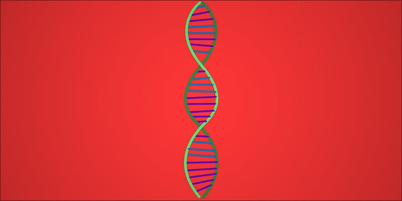 5 Things You 1 1 5 Breakthrough Discoveries For Treating PTSD With Cannabis