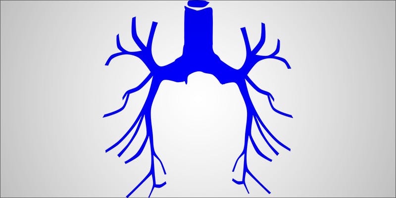 5 Things You 5 5 Surprising Things You Probably Didn’t Know About Cannabis & Asthma