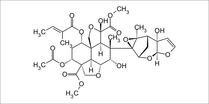 Azadirachtin 3 Important Things Cannabis Nodes Are Telling You About Your Plant