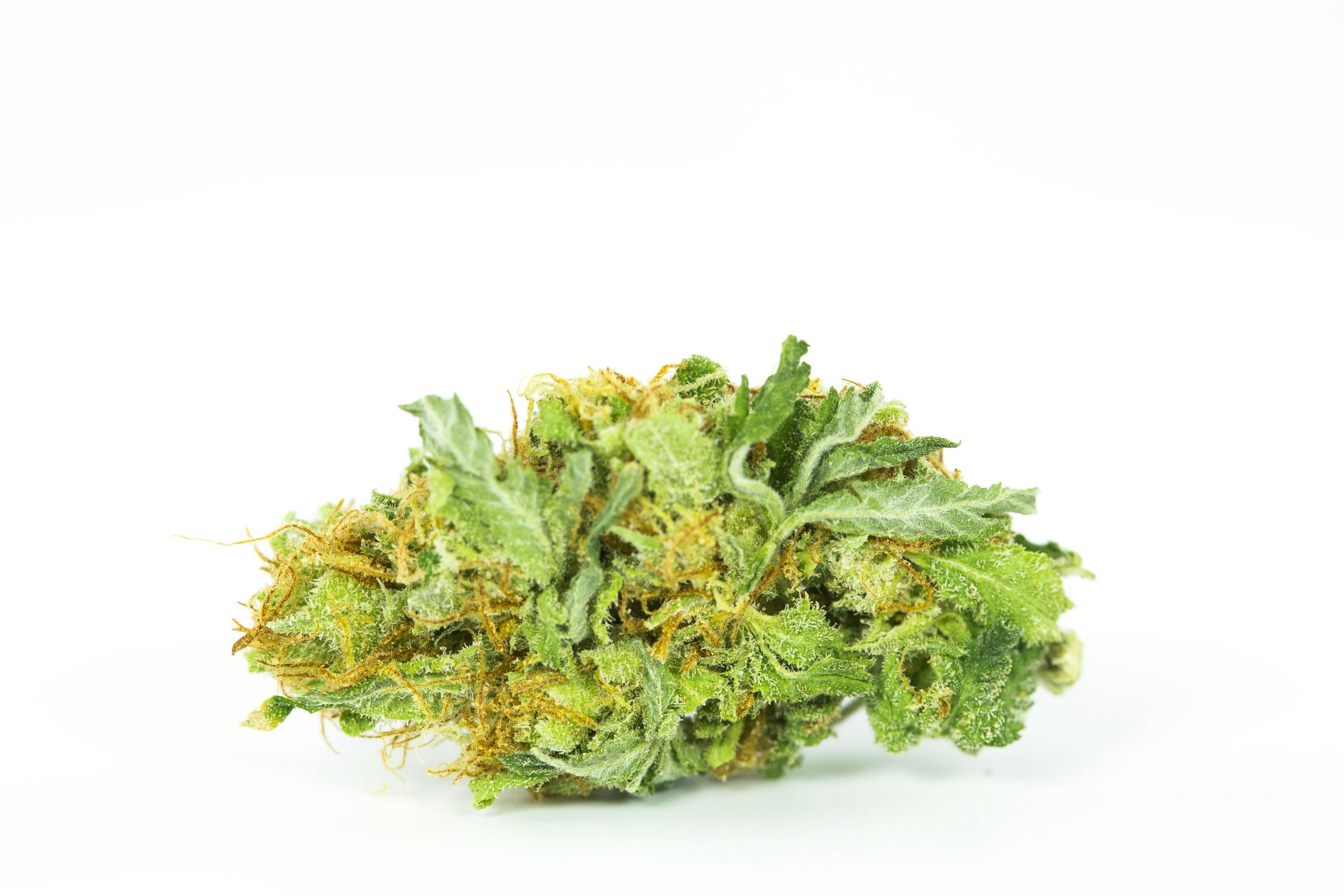 Blueberry Pancakes Marijuana Strain