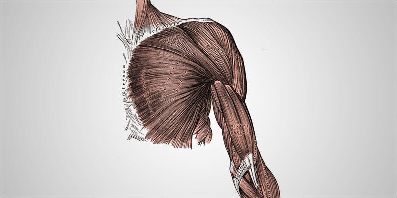 Cannabis Muscular Dystrophy 6 Muscular Dystrophy: 3 Ways Cannabis Can Ease The Symptoms Of MD