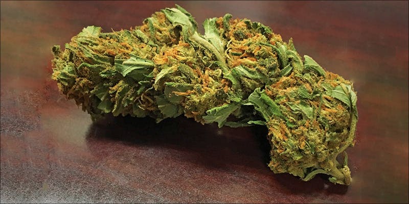 Cannabis Muscular Dystrophy 8 Muscular Dystrophy: 3 Ways Cannabis Can Ease The Symptoms Of MD