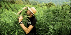 Franco Loja: Saying Goodbye To A True Cannabis Hero