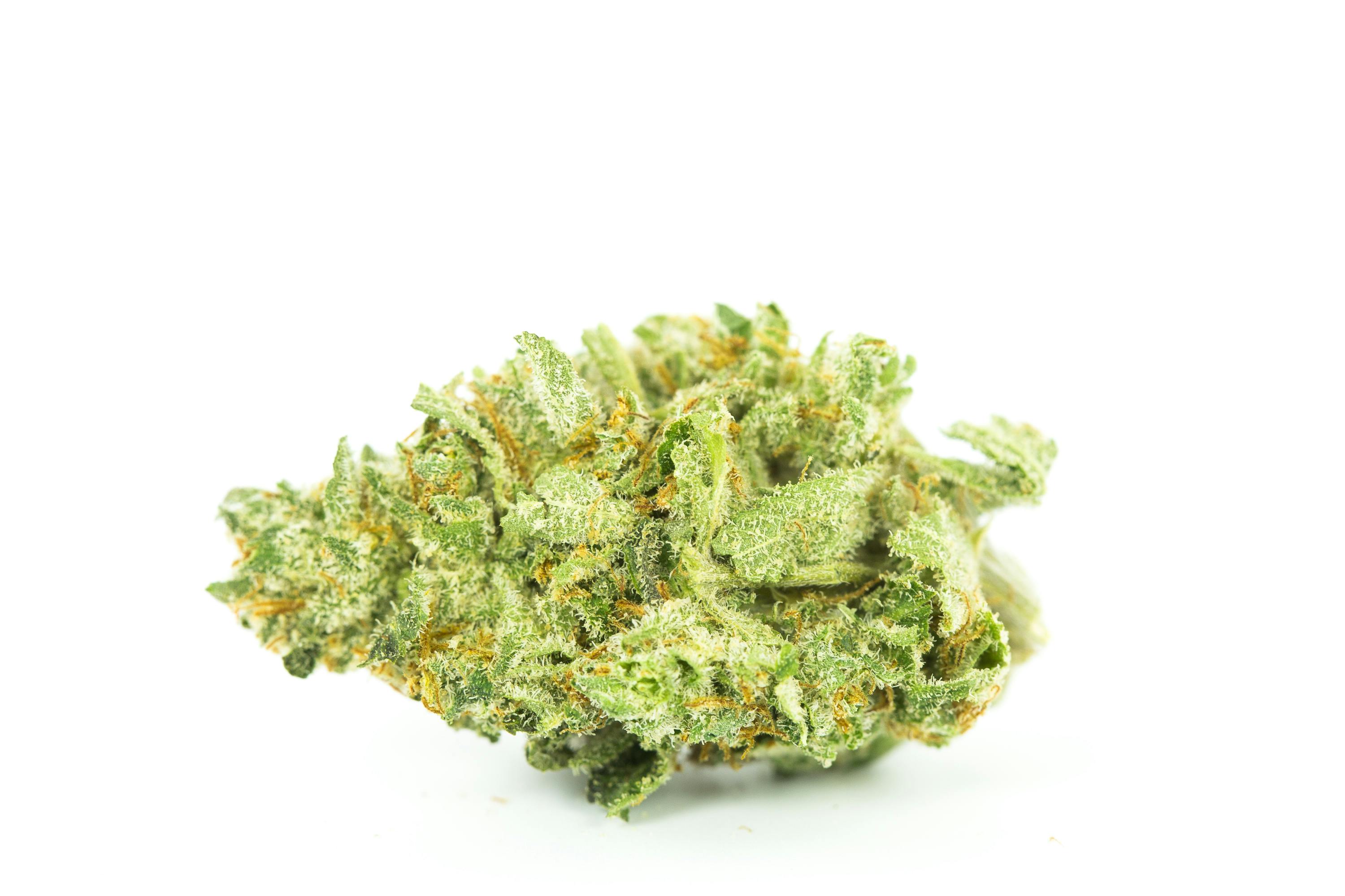 Jesus OG Weed; Jesus OG Cannabis Strain; Jesus OG Sativa Marijuana Strain