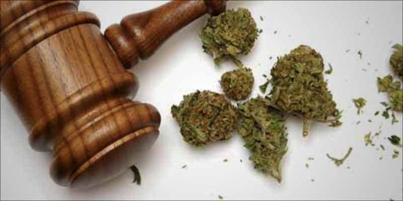 Oregon Lawmakers Want 1 Will This New Law Protect Recreational Cannabis Users From Getting Fired?