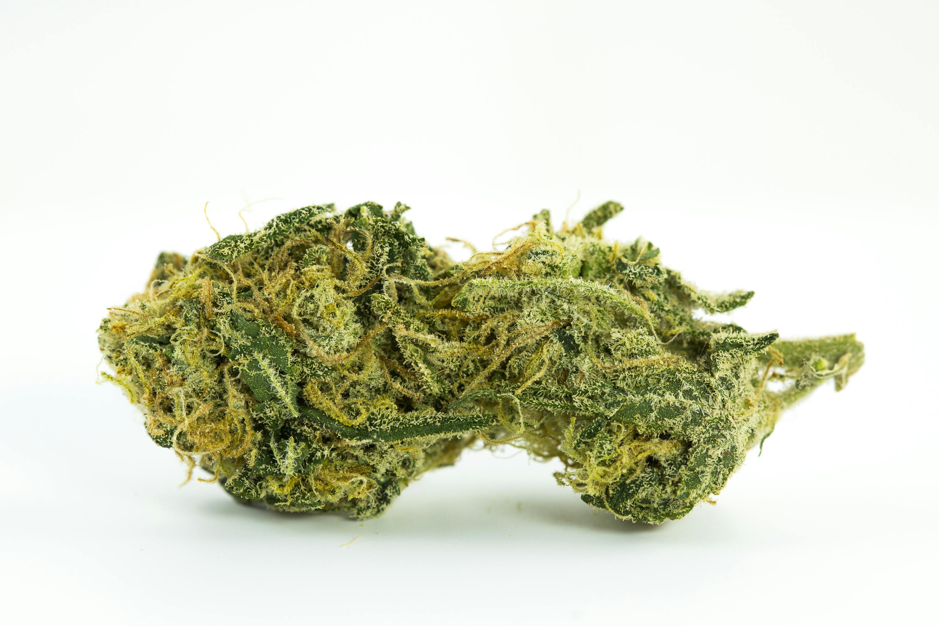 Pineapple Marijuana Strain