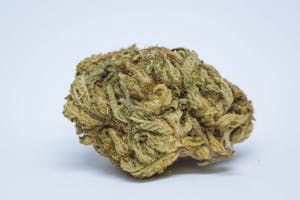 Orange Crush Marijuana Strain