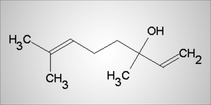 Understanding Medical Terpene 1 Linalool: The Powerful Terpene That Can Help Opioid Addiction