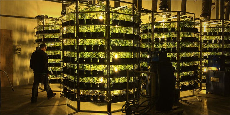 Vertical Farming The 2 Vertical Farming: Is This The Future Of Growing Cannabis?