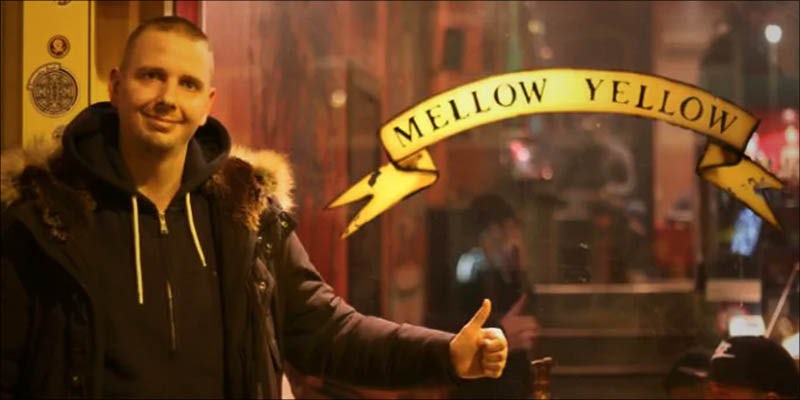 Why Amsterdams Oldest 2 3 Important Things Cannabis Nodes Are Telling You About Your Plant