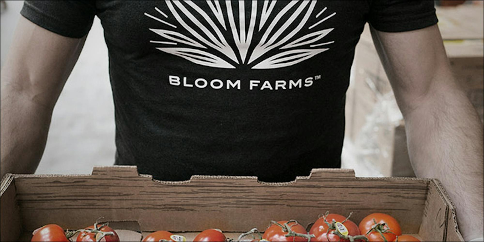 Bloom Farms The Cannabis Company Giving Back To The Community Herb