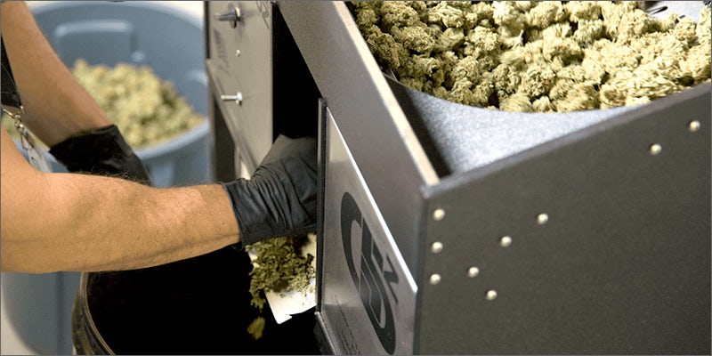 gb1 Hey Cultivators! Trim Quickly Without Sacrificing Quality With This New Cannabis Trimmer