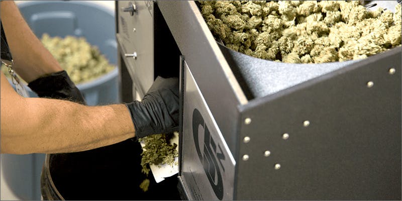 gb1 Hey Cultivators! Trim Quickly Without Sacrificing Quality With This New Cannabis Trimmer