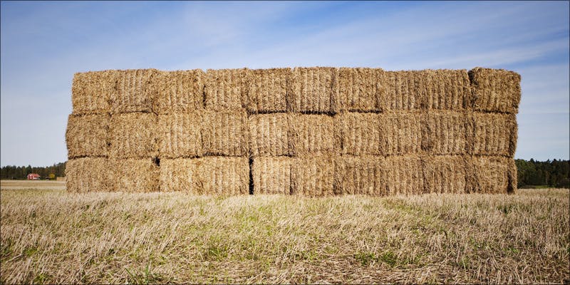 haystack