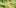herpes3 Studies Suggest Cannabis Could Treat The Herpes Virus