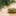 pinene