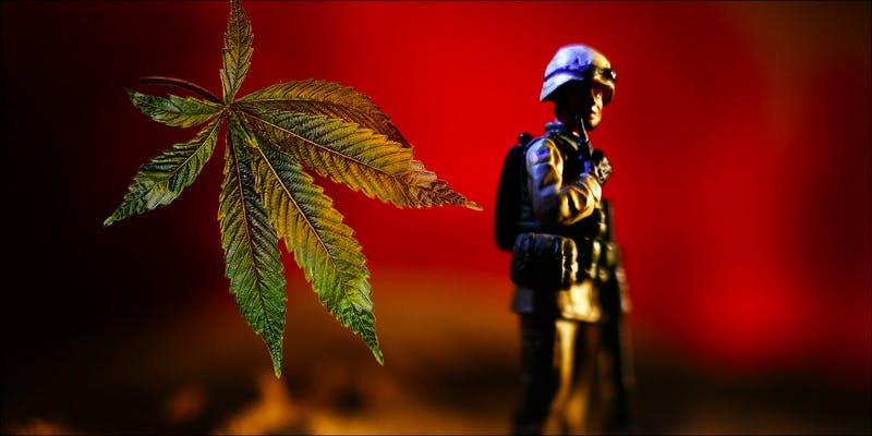 ptsd hero Quickest Detox: How to Get Weed Out of Your System