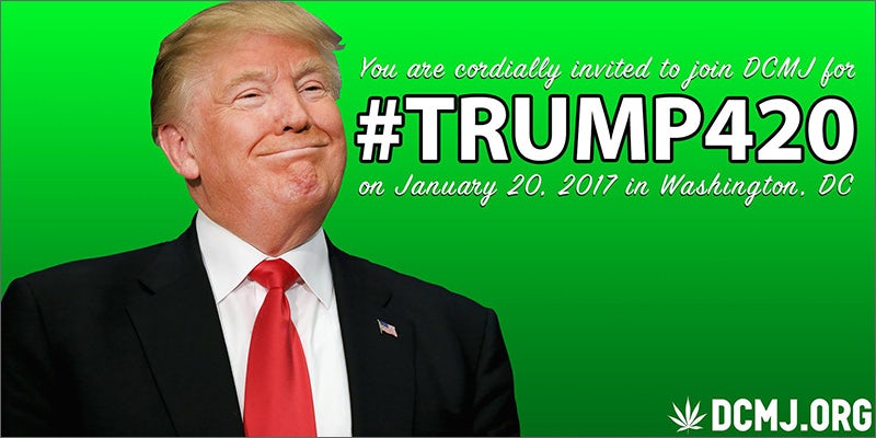 trump420 4,200 Free Joints Will Be Handed Out At Trumps Inauguration