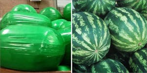 This is What 3,000 Pounds of Weed Disguised as Watermelons Looks Like