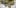 11 Best Clear 2 11 Best Clear Headed Sativa Strains To Help You Concentrate
