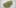 11 Best Clear 5 11 Best Clear Headed Sativa Strains To Help You Concentrate