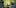 11 Best Clear 6 11 Best Clear Headed Sativa Strains To Help You Concentrate