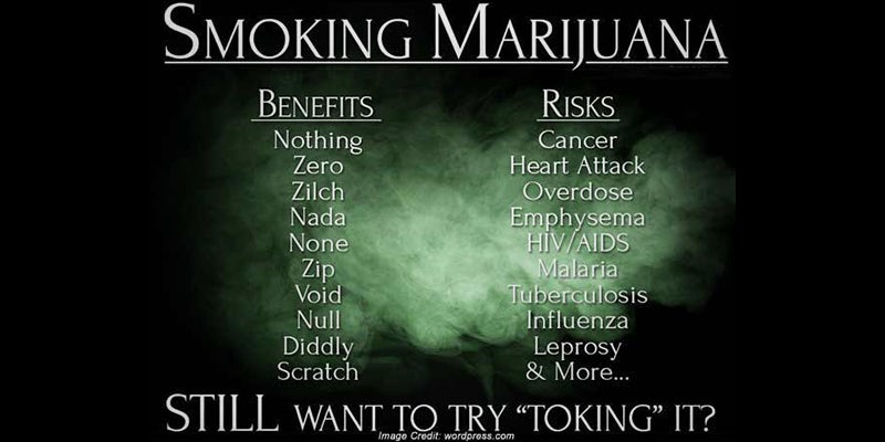 3 Of The 3 Debunking 3 Of The Biggest Misconceptions About Cannabis