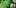6 Reasons Why 3 11 Best Clear Headed Sativa Strains To Help You Concentrate