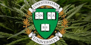 Did You Know You Can Actually Attend A Cannabis College?