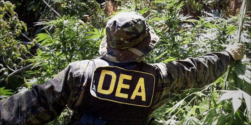 DEA Is Now 2 Luxury Cannabis Is Officially Here And Youre Going To Want It