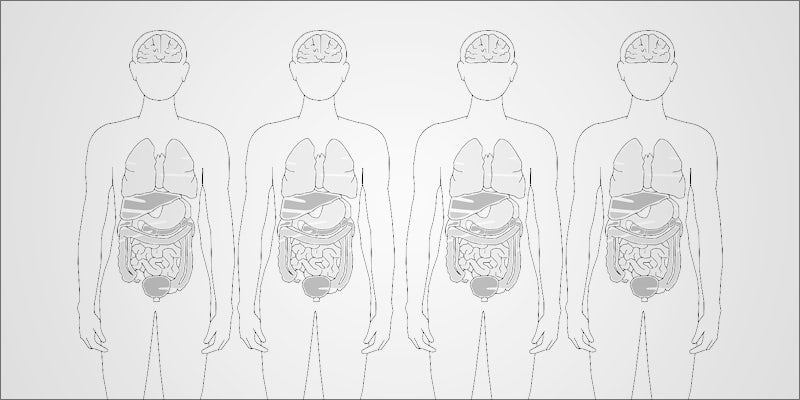Donate Lungs 5 New Study Confirms Cannabis Consumers Can Donate Lungs