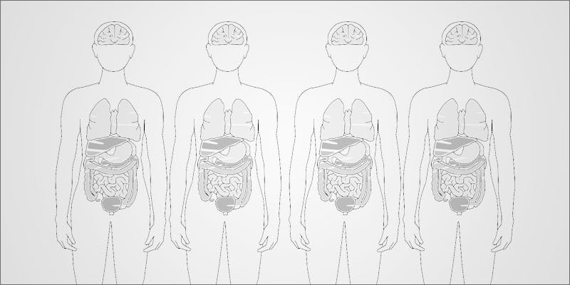 Donate Lungs 5 New Study Confirms Cannabis Consumers Can Donate Lungs