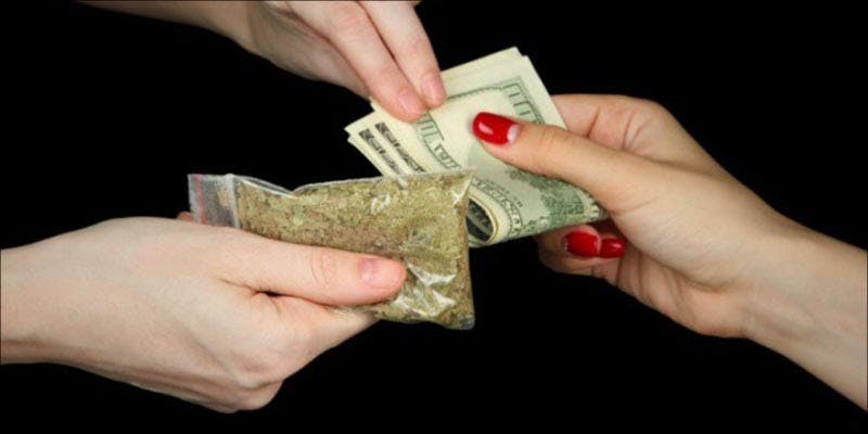 Honest Drug Dealer 3 Quickest Detox: How to Get Weed Out of Your System