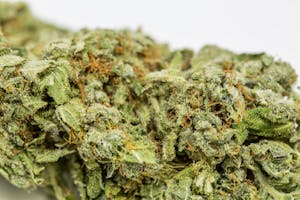 Ice Wreck Marijuana Strain