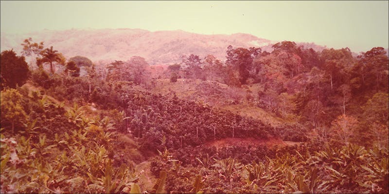 Life As A Pirate 2 Life As A Pirate: Rescuing 100,000 Pounds Of Colombian Gold